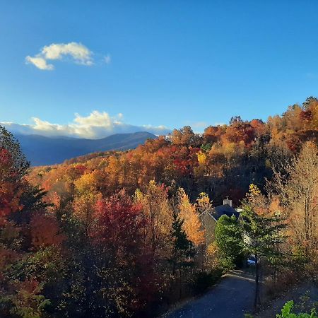 3 Decks, Mtn Views! Tree Tops By Honeybearcabins - Luxury Rain Showers, 3 King Suites, Xl Hottub, Fireplace, Bear Sightings Gatlinburg Kültér fotó